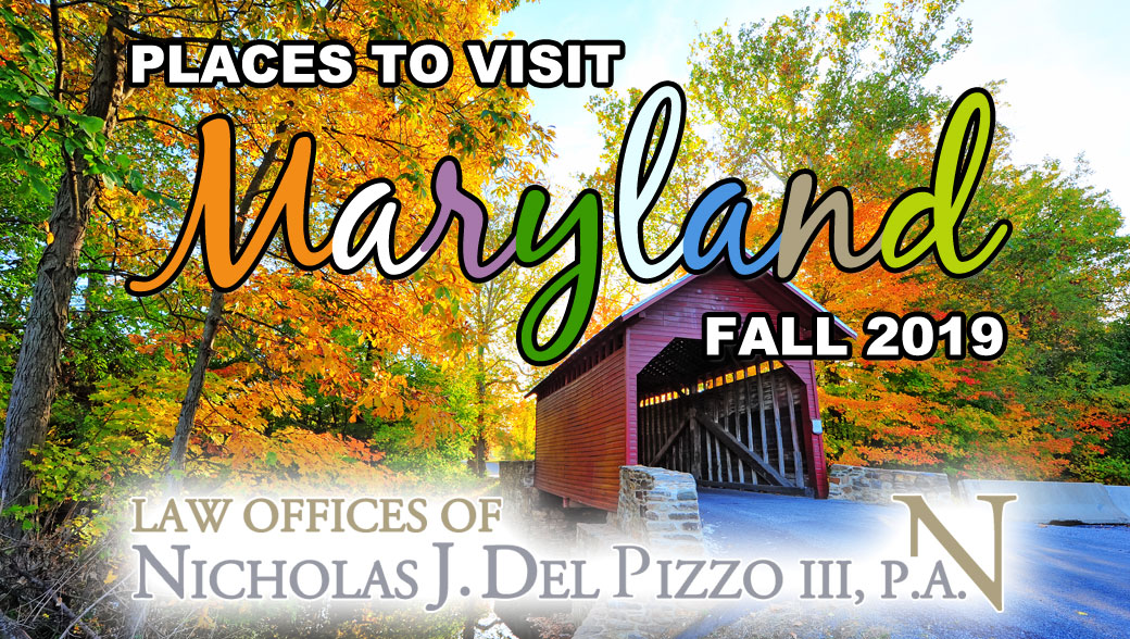 Places to Visit This Fall in Maryland